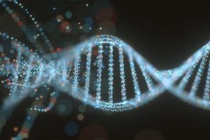 dna-e-rna-biologia