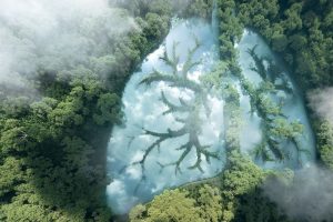 ecologia-biologia